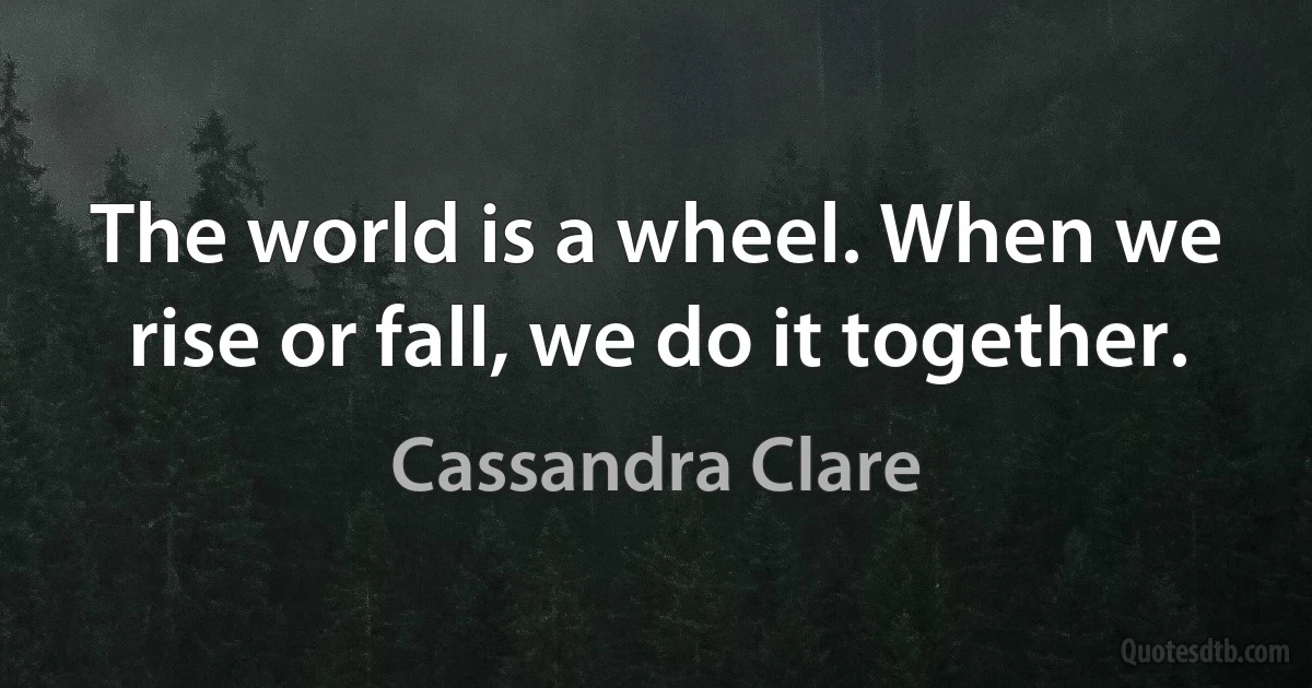 The world is a wheel. When we rise or fall, we do it together. (Cassandra Clare)