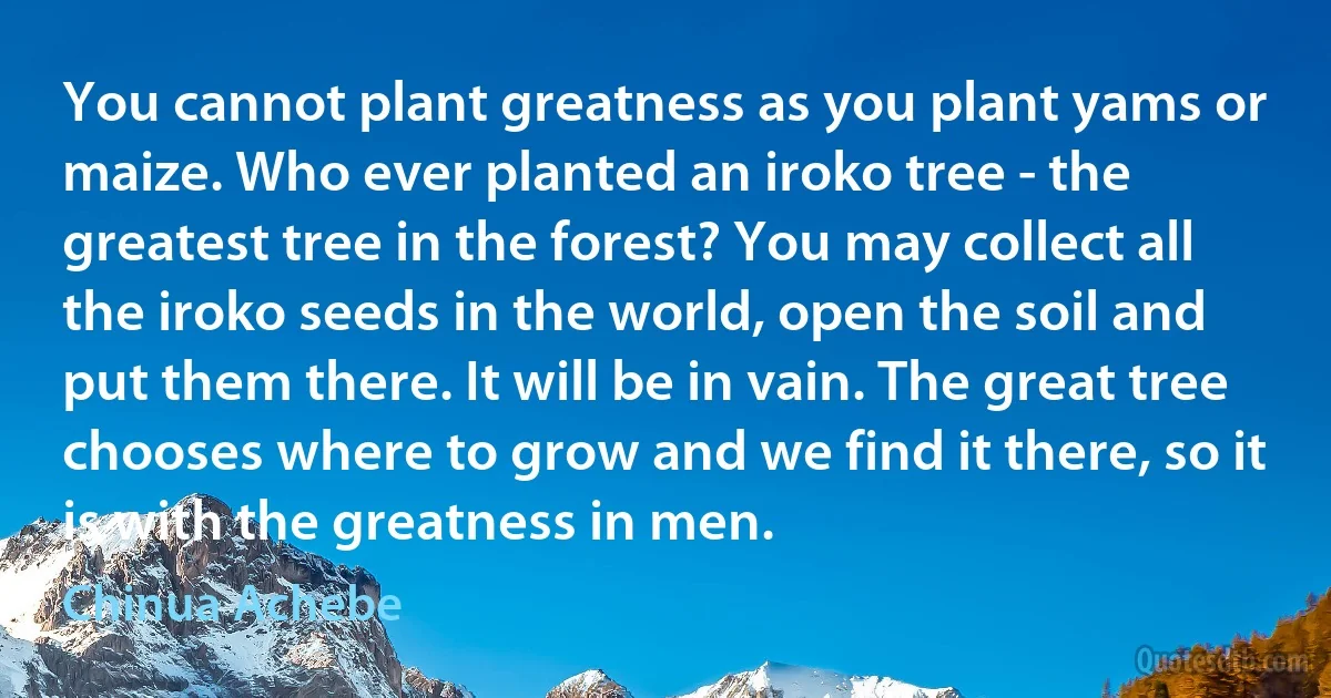 You cannot plant greatness as you plant yams or maize. Who ever planted an iroko tree - the greatest tree in the forest? You may collect all the iroko seeds in the world, open the soil and put them there. It will be in vain. The great tree chooses where to grow and we find it there, so it is with the greatness in men. (Chinua Achebe)