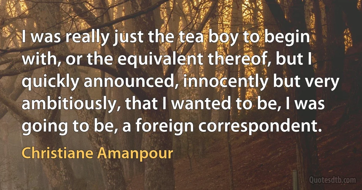 I was really just the tea boy to begin with, or the equivalent thereof, but I quickly announced, innocently but very ambitiously, that I wanted to be, I was going to be, a foreign correspondent. (Christiane Amanpour)