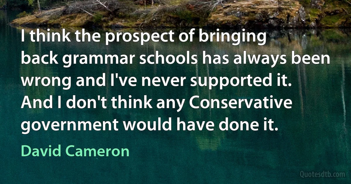 I think the prospect of bringing back grammar schools has always been wrong and I've never supported it. And I don't think any Conservative government would have done it. (David Cameron)