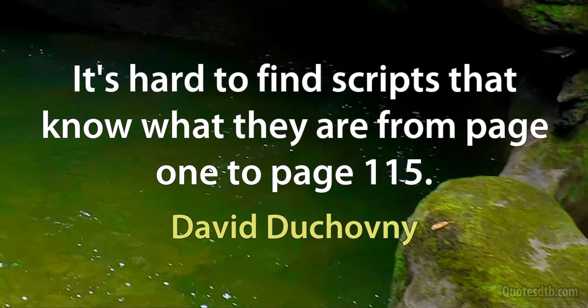 It's hard to find scripts that know what they are from page one to page 115. (David Duchovny)