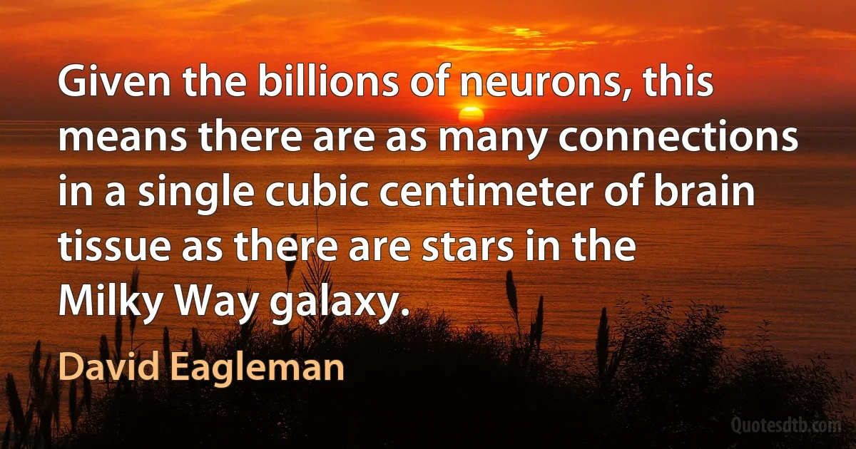 Given the billions of neurons, this means there are as many connections in a single cubic centimeter of brain tissue as there are stars in the Milky Way galaxy. (David Eagleman)