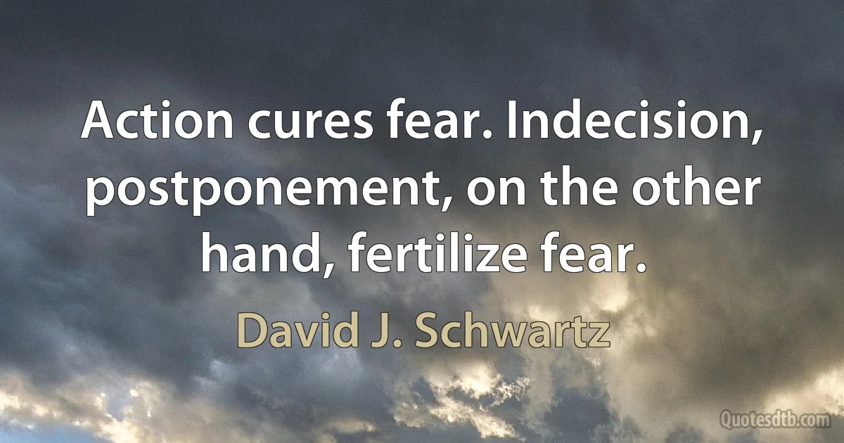 Action cures fear. Indecision, postponement, on the other hand, fertilize fear. (David J. Schwartz)