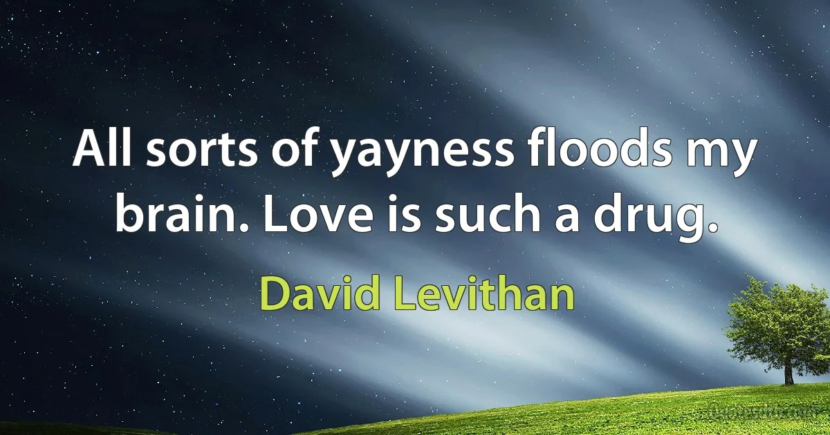 All sorts of yayness floods my brain. Love is such a drug. (David Levithan)