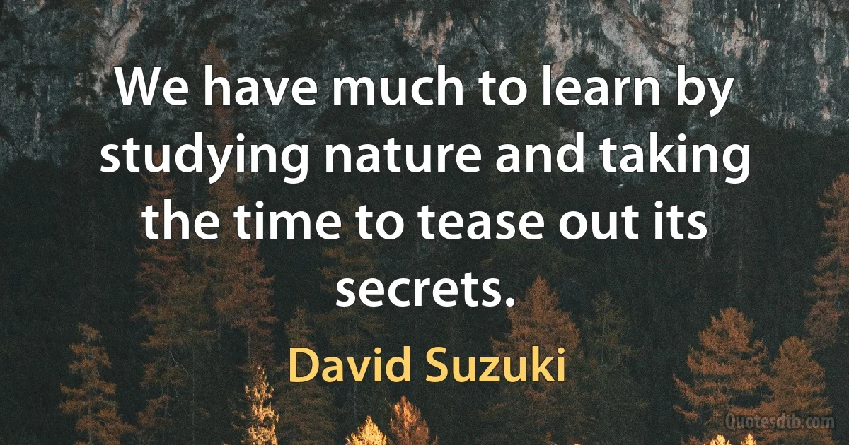 We have much to learn by studying nature and taking the time to tease out its secrets. (David Suzuki)