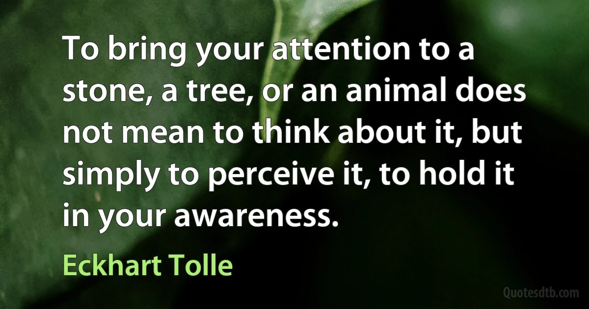 To bring your attention to a stone, a tree, or an animal does not mean to think about it, but simply to perceive it, to hold it in your awareness. (Eckhart Tolle)