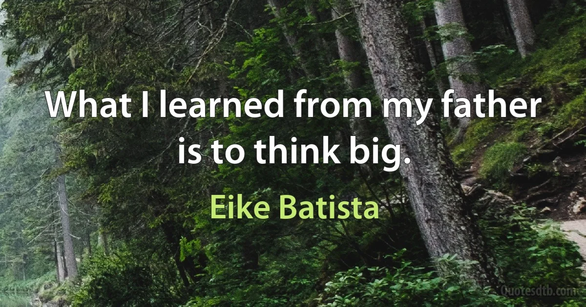 What I learned from my father is to think big. (Eike Batista)