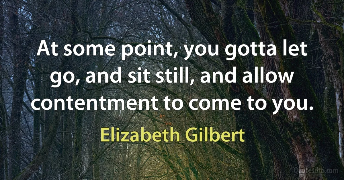 At some point, you gotta let go, and sit still, and allow contentment to come to you. (Elizabeth Gilbert)