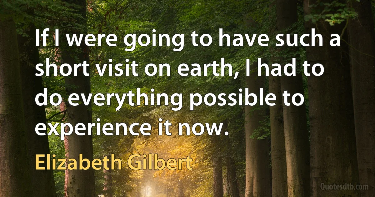 If I were going to have such a short visit on earth, I had to do everything possible to experience it now. (Elizabeth Gilbert)