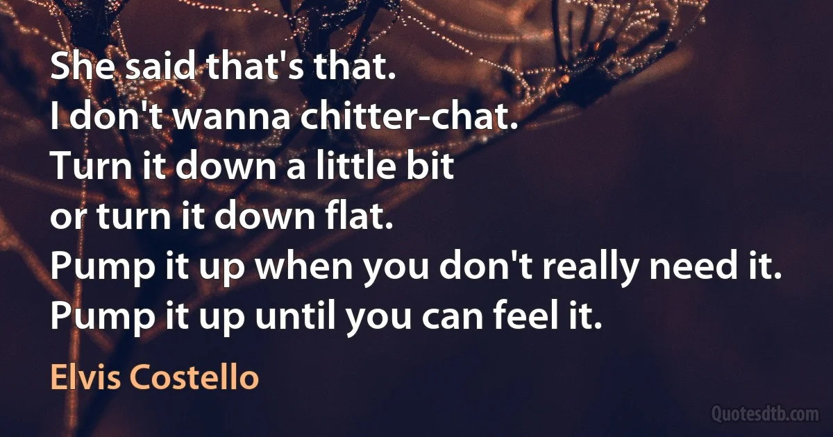 She said that's that.
I don't wanna chitter-chat.
Turn it down a little bit
or turn it down flat.
Pump it up when you don't really need it.
Pump it up until you can feel it. (Elvis Costello)