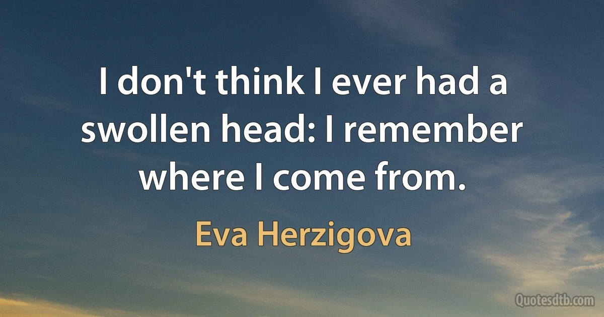 I don't think I ever had a swollen head: I remember where I come from. (Eva Herzigova)