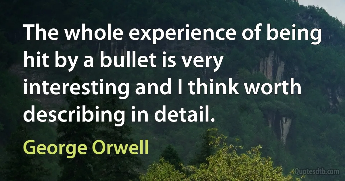 The whole experience of being hit by a bullet is very interesting and I think worth describing in detail. (George Orwell)