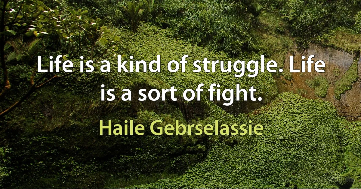 Life is a kind of struggle. Life is a sort of fight. (Haile Gebrselassie)