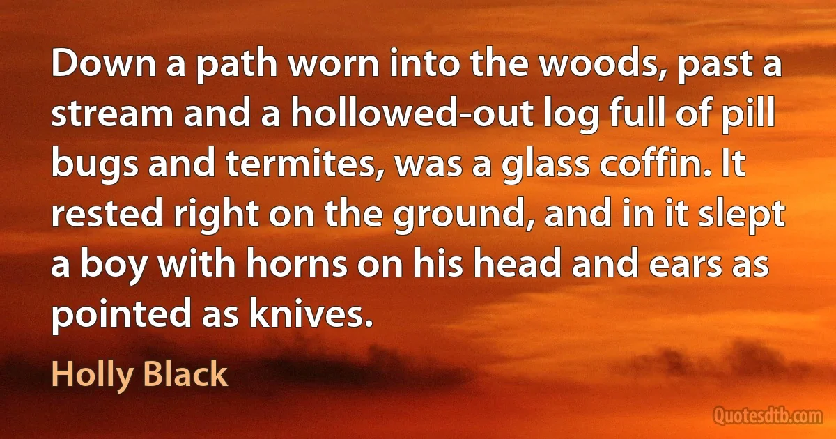 Down a path worn into the woods, past a stream and a hollowed-out log full of pill bugs and termites, was a glass coffin. It rested right on the ground, and in it slept a boy with horns on his head and ears as pointed as knives. (Holly Black)