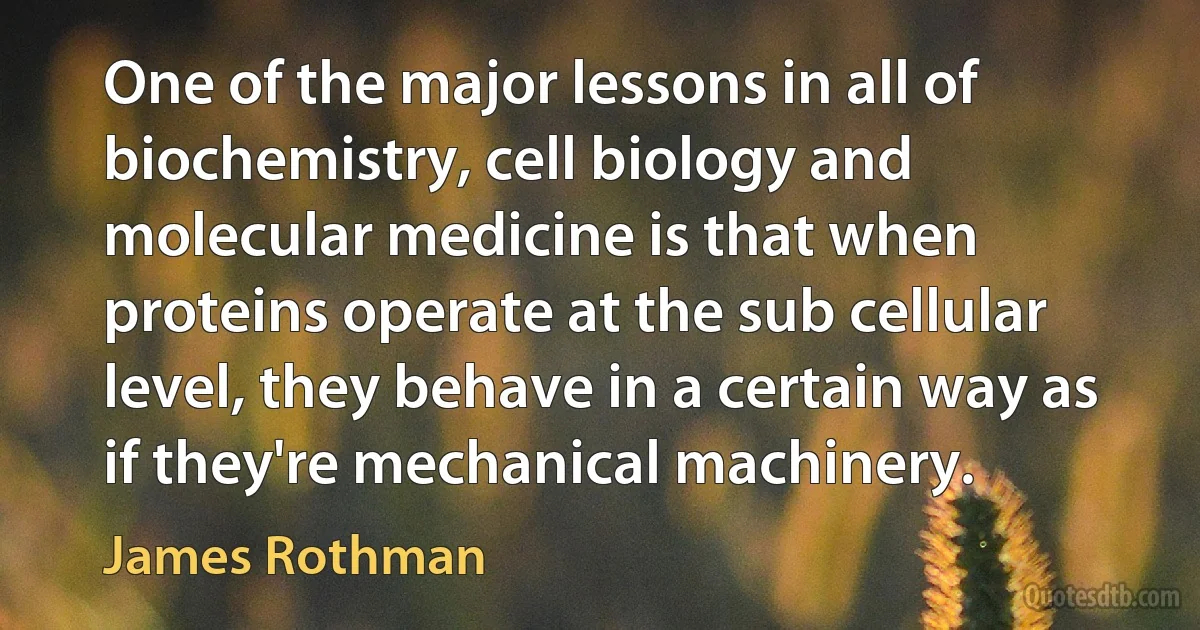 One of the major lessons in all of biochemistry, cell biology and molecular medicine is that when proteins operate at the sub cellular level, they behave in a certain way as if they're mechanical machinery. (James Rothman)