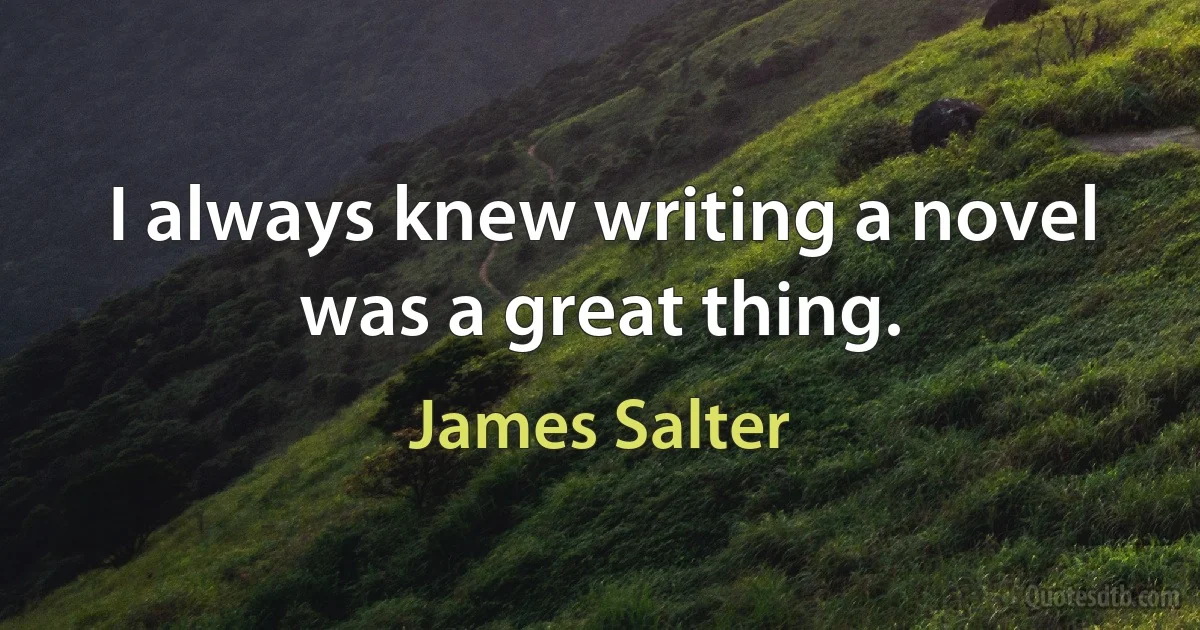 I always knew writing a novel was a great thing. (James Salter)