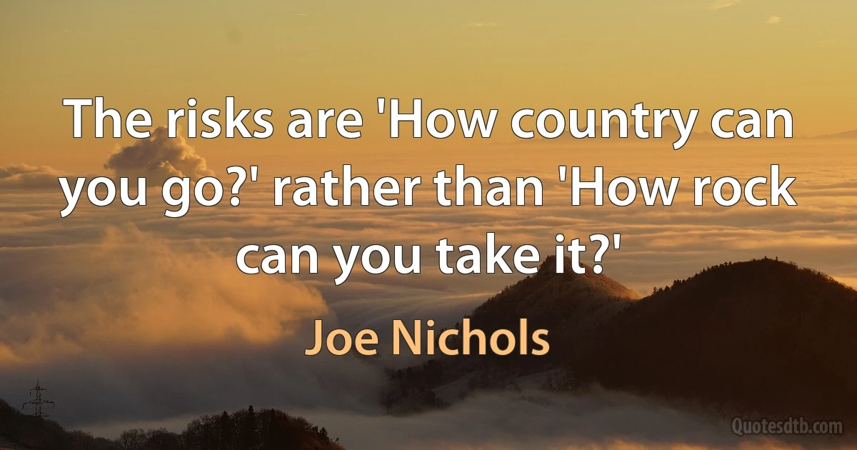 The risks are 'How country can you go?' rather than 'How rock can you take it?' (Joe Nichols)