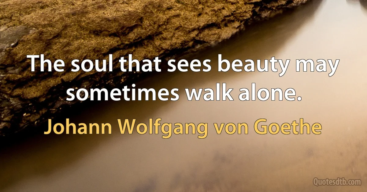 The soul that sees beauty may sometimes walk alone. (Johann Wolfgang von Goethe)