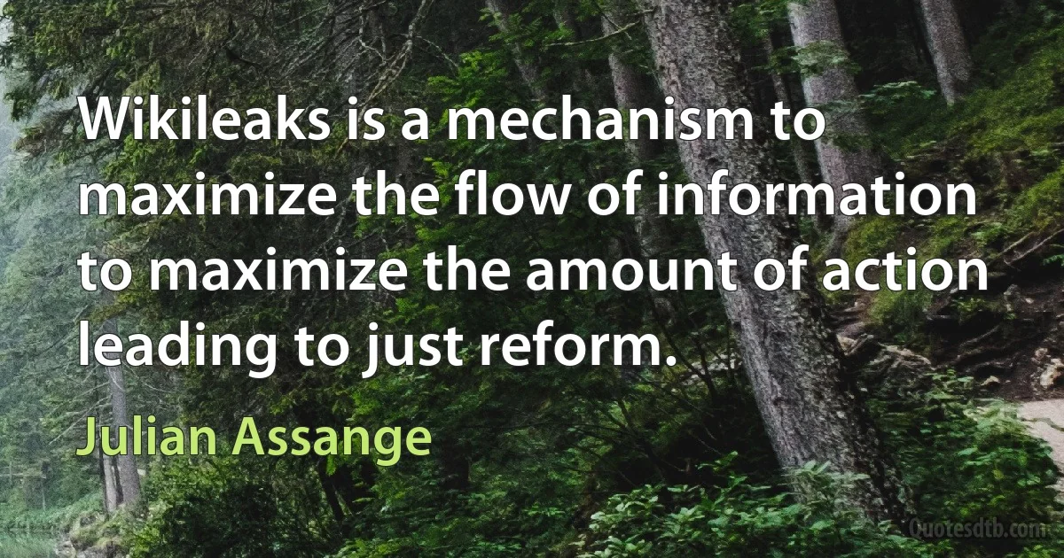 Wikileaks is a mechanism to maximize the flow of information to maximize the amount of action leading to just reform. (Julian Assange)