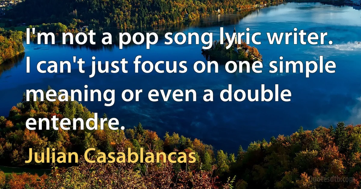 I'm not a pop song lyric writer. I can't just focus on one simple meaning or even a double entendre. (Julian Casablancas)