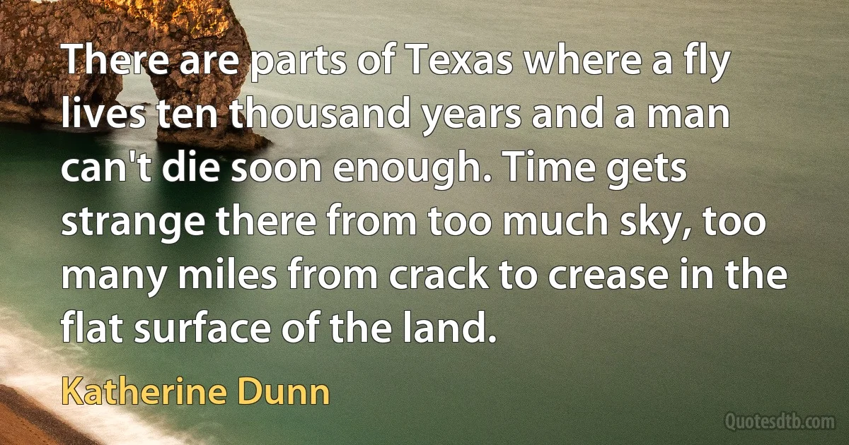 There are parts of Texas where a fly lives ten thousand years and a man can't die soon enough. Time gets strange there from too much sky, too many miles from crack to crease in the flat surface of the land. (Katherine Dunn)