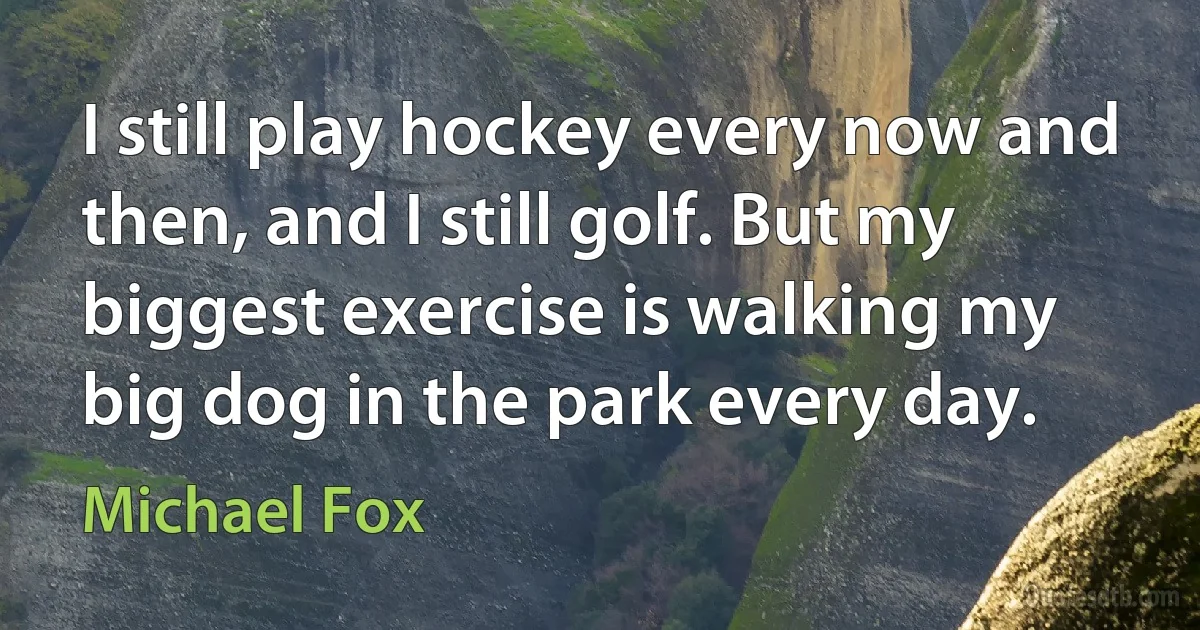 I still play hockey every now and then, and I still golf. But my biggest exercise is walking my big dog in the park every day. (Michael Fox)