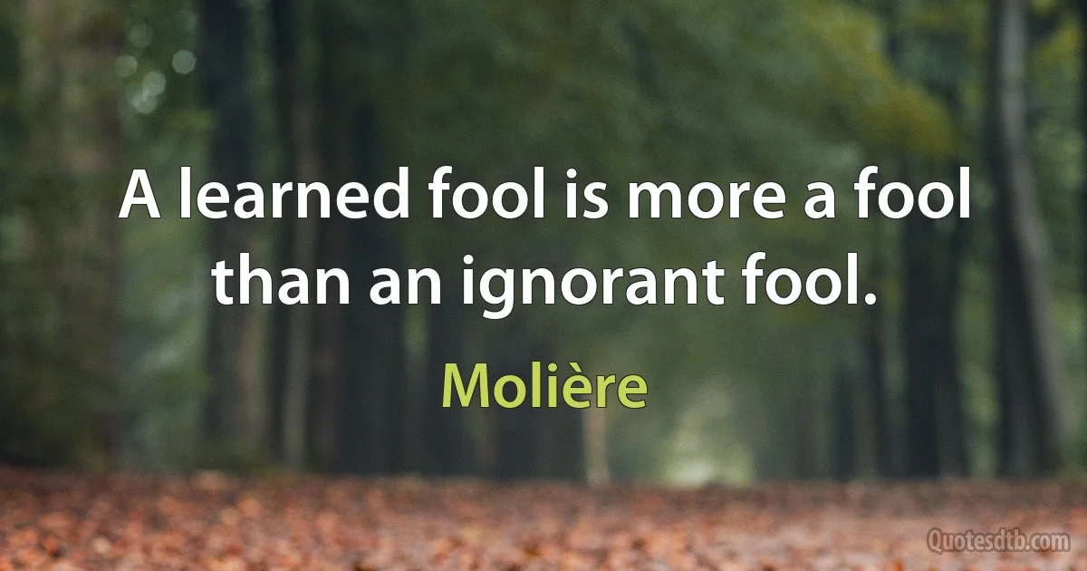 A learned fool is more a fool than an ignorant fool. (Molière)