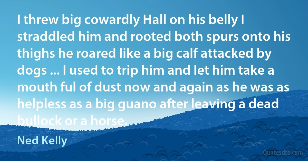 I threw big cowardly Hall on his belly I straddled him and rooted both spurs onto his thighs he roared like a big calf attacked by dogs ... I used to trip him and let him take a mouth ful of dust now and again as he was as helpless as a big guano after leaving a dead bullock or a horse. (Ned Kelly)