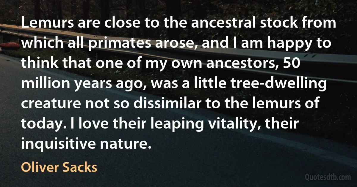 Lemurs are close to the ancestral stock from which all primates arose, and I am happy to think that one of my own ancestors, 50 million years ago, was a little tree-dwelling creature not so dissimilar to the lemurs of today. I love their leaping vitality, their inquisitive nature. (Oliver Sacks)