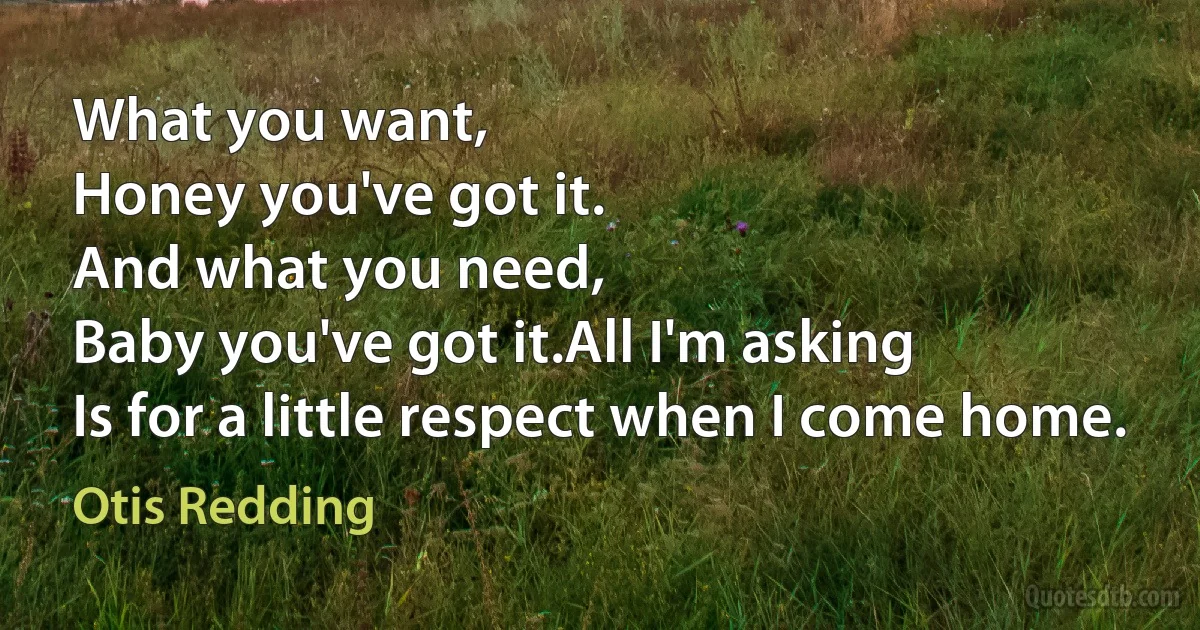 What you want,
Honey you've got it.
And what you need,
Baby you've got it.All I'm asking
Is for a little respect when I come home. (Otis Redding)