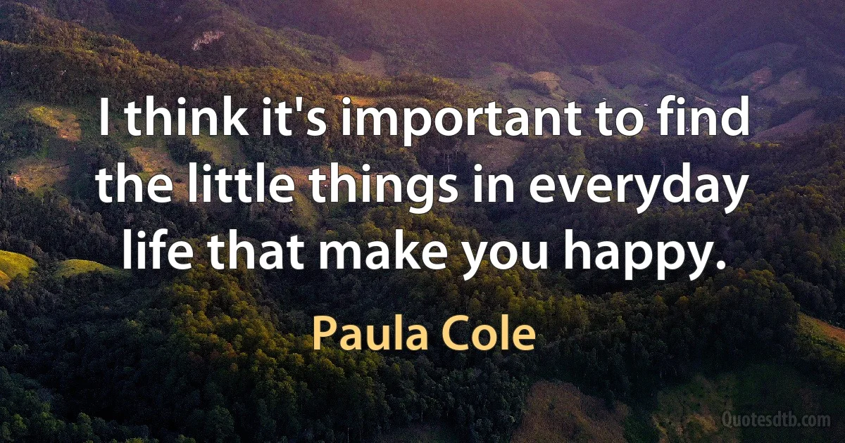 I think it's important to find the little things in everyday life that make you happy. (Paula Cole)