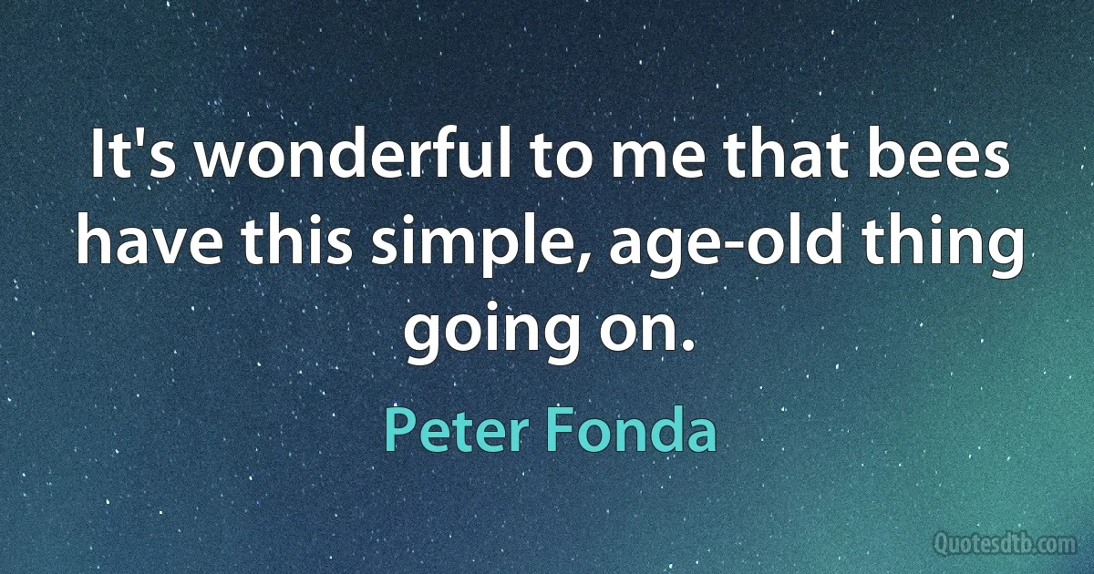 It's wonderful to me that bees have this simple, age-old thing going on. (Peter Fonda)