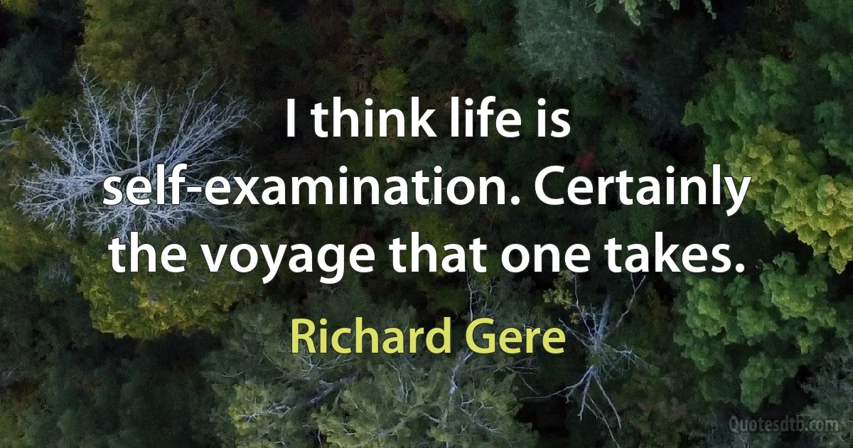 I think life is self-examination. Certainly the voyage that one takes. (Richard Gere)