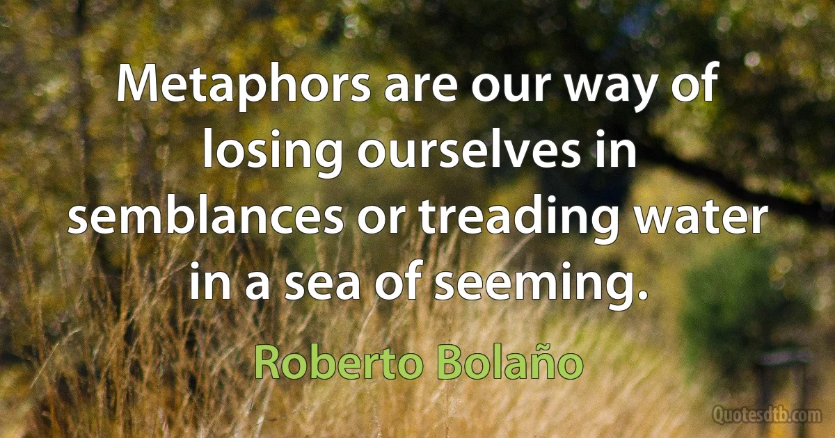 Metaphors are our way of losing ourselves in semblances or treading water in a sea of seeming. (Roberto Bolaño)