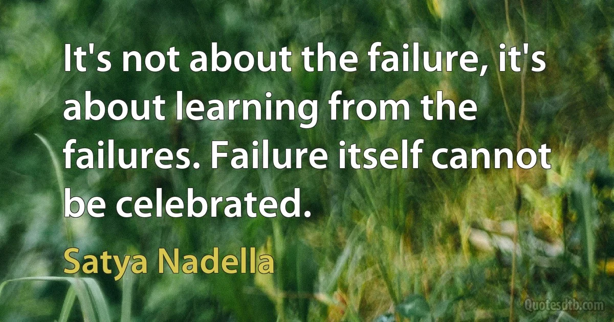 It's not about the failure, it's about learning from the failures. Failure itself cannot be celebrated. (Satya Nadella)