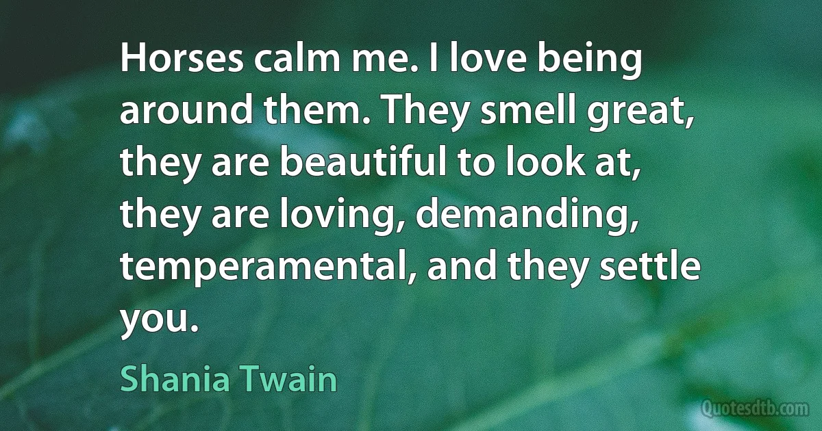 Horses calm me. I love being around them. They smell great, they are beautiful to look at, they are loving, demanding, temperamental, and they settle you. (Shania Twain)
