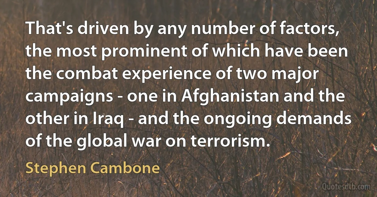 That's driven by any number of factors, the most prominent of which have been the combat experience of two major campaigns - one in Afghanistan and the other in Iraq - and the ongoing demands of the global war on terrorism. (Stephen Cambone)