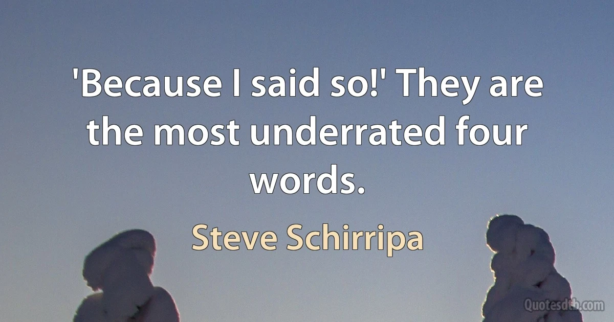 'Because I said so!' They are the most underrated four words. (Steve Schirripa)