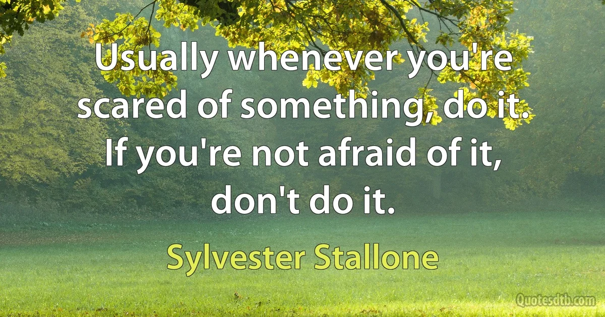 Usually whenever you're scared of something, do it. If you're not afraid of it, don't do it. (Sylvester Stallone)