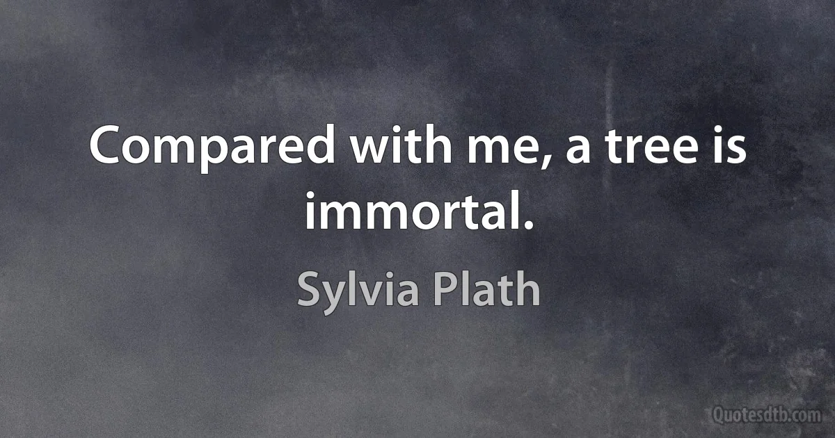 Compared with me, a tree is immortal. (Sylvia Plath)