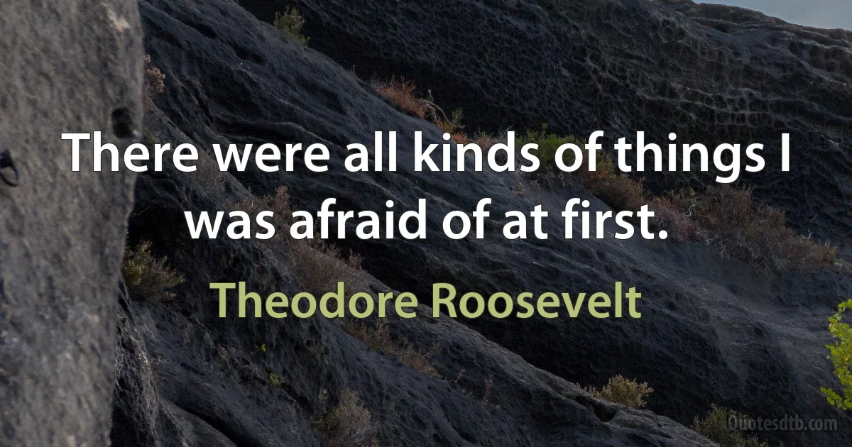 There were all kinds of things I was afraid of at first. (Theodore Roosevelt)