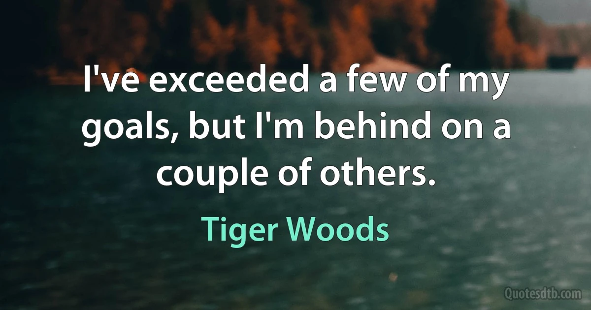 I've exceeded a few of my goals, but I'm behind on a couple of others. (Tiger Woods)