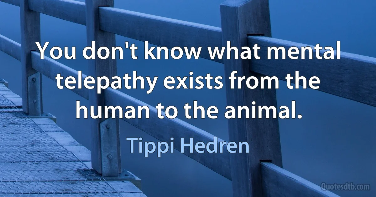 You don't know what mental telepathy exists from the human to the animal. (Tippi Hedren)