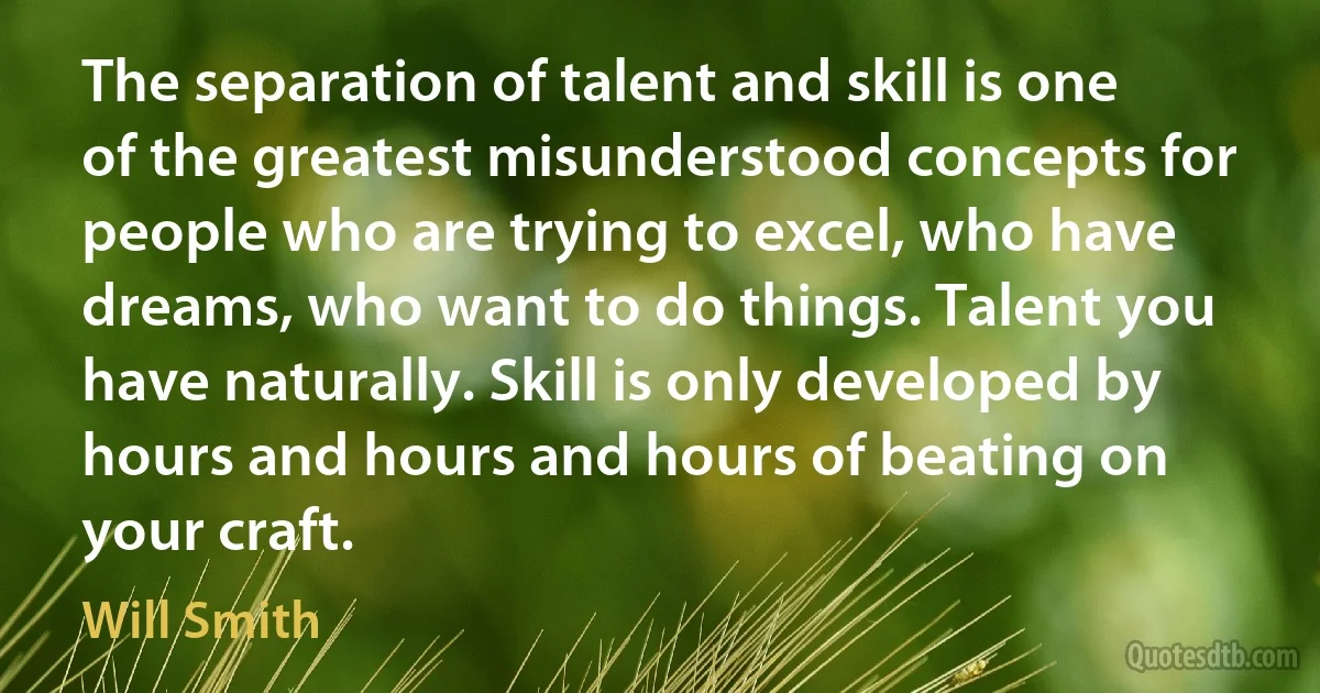 The separation of talent and skill is one of the greatest misunderstood concepts for people who are trying to excel, who have dreams, who want to do things. Talent you have naturally. Skill is only developed by hours and hours and hours of beating on your craft. (Will Smith)