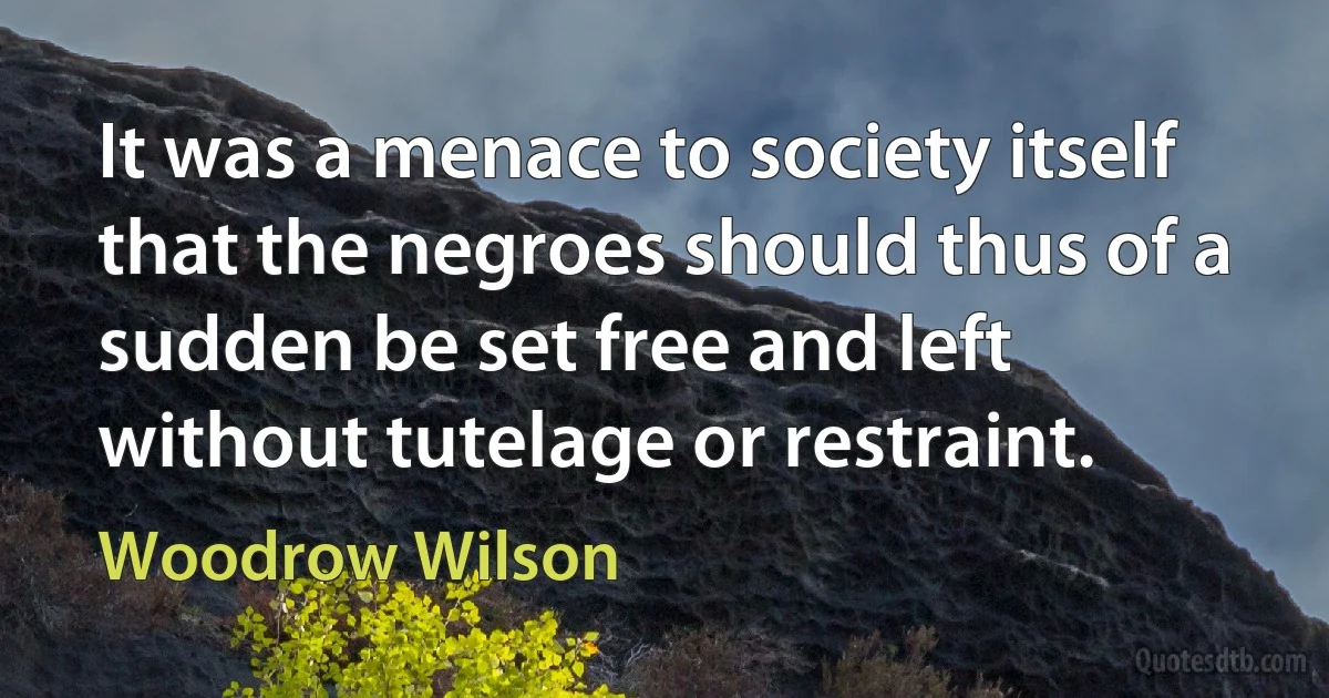 It was a menace to society itself that the negroes should thus of a sudden be set free and left without tutelage or restraint. (Woodrow Wilson)