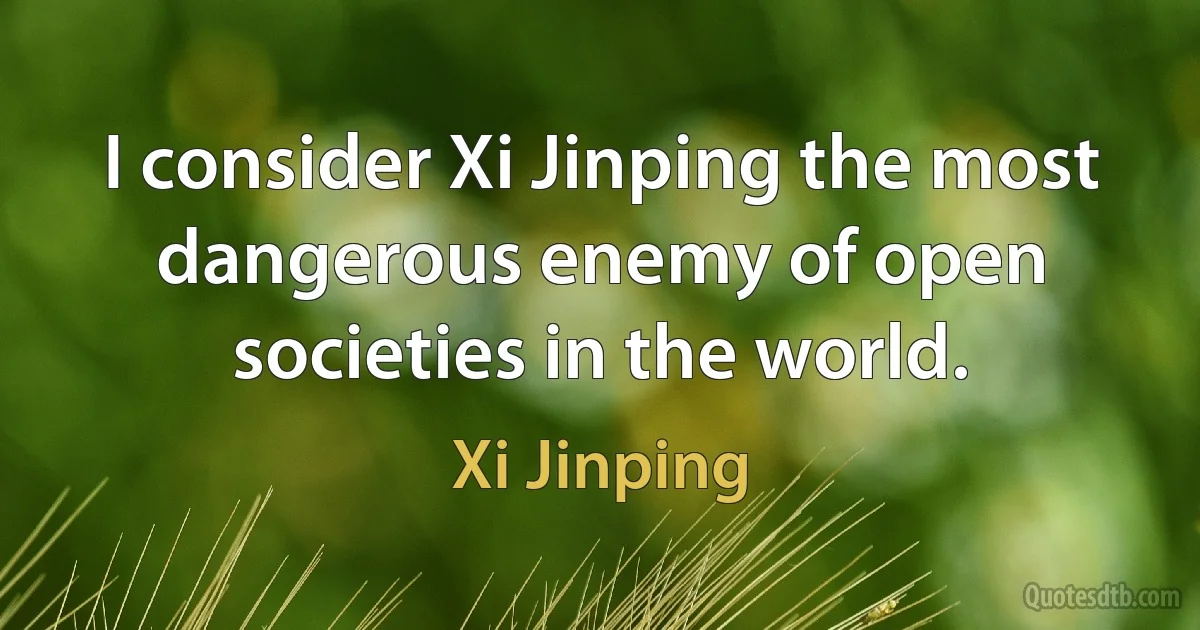 I consider Xi Jinping the most dangerous enemy of open societies in the world. (Xi Jinping)