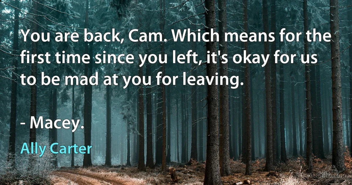 You are back, Cam. Which means for the first time since you left, it's okay for us to be mad at you for leaving.

- Macey. (Ally Carter)