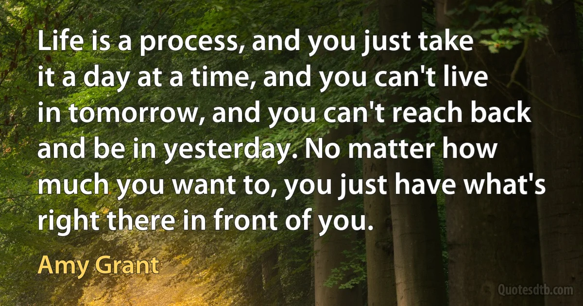 Life is a process, and you just take it a day at a time, and you can't live in tomorrow, and you can't reach back and be in yesterday. No matter how much you want to, you just have what's right there in front of you. (Amy Grant)