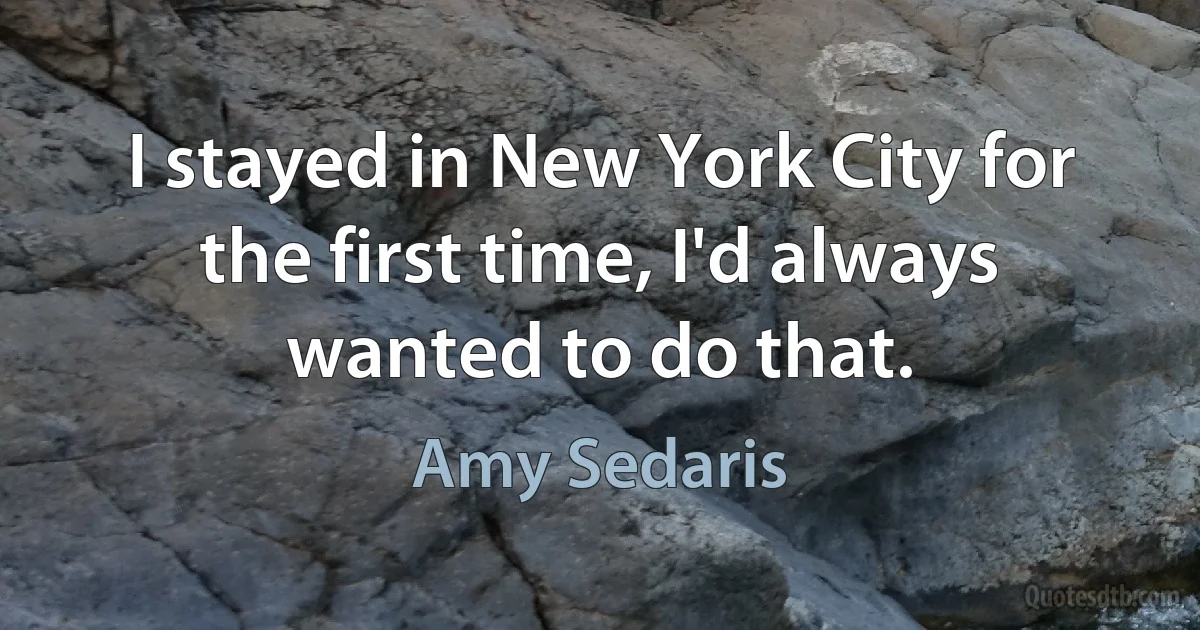 I stayed in New York City for the first time, I'd always wanted to do that. (Amy Sedaris)