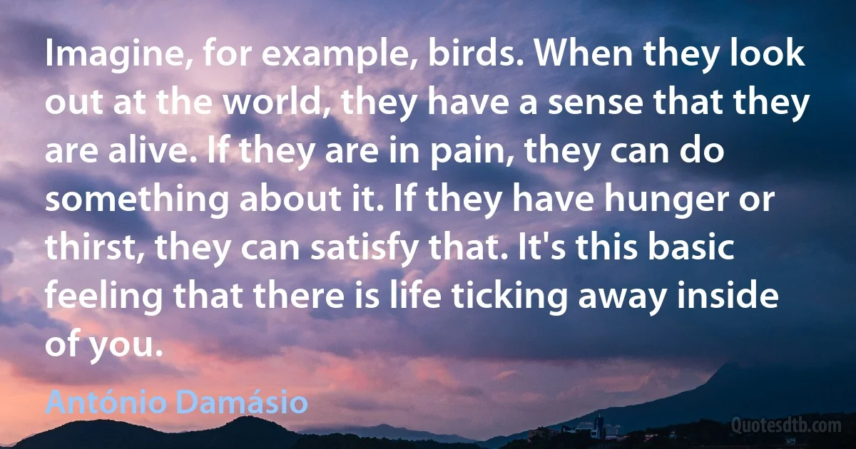 Imagine, for example, birds. When they look out at the world, they have a sense that they are alive. If they are in pain, they can do something about it. If they have hunger or thirst, they can satisfy that. It's this basic feeling that there is life ticking away inside of you. (António Damásio)